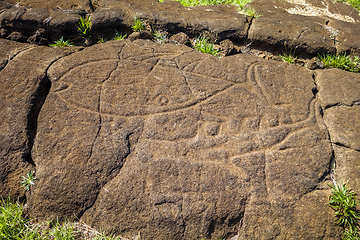 Image showing Petroglyphs on rocks, easter island
