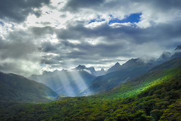 Image showing Fiordland national park stormy landscape, New Zealand