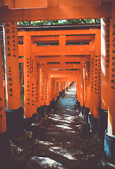 Image showing Fushimi Inari Taisha torii, Kyoto, Japan