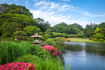 Image showing Shinjuku Gyoen garden, Tokyo, Japan