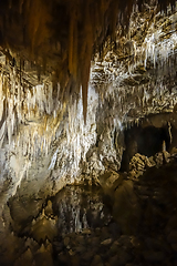 Image showing Waitomo glowworm caves, New Zealand