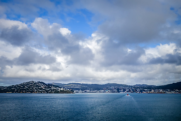 Image showing Wellington city view from the sea, New Zealand