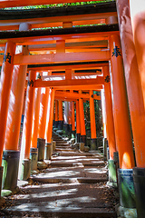 Image showing Fushimi Inari Taisha torii, Kyoto, Japan