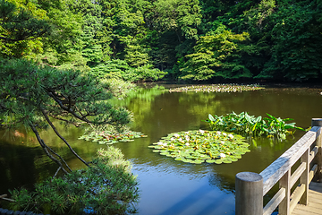 Image showing Yoyogi park pond, Tokyo, Japan