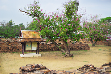 Image showing Ruins architecture in Ayutthaya historic park, Thailand