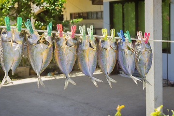 Image showing Fish are suspended on a rope and dried