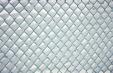 Image showing Snow-covered fence, metal mesh in in frost