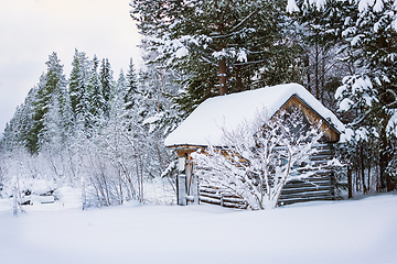 Image showing The little hut on edge of boreal forest