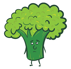 Image showing Sad green brocolli  vector illustration on white background