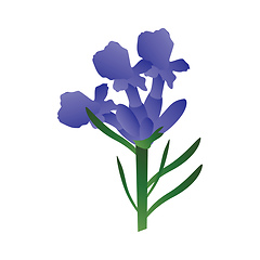 Image showing Vector illustration of purple lavander flowers with green leafs 