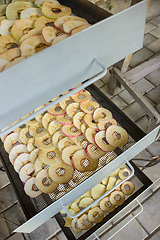 Image showing Apples are placed in an electric dryer