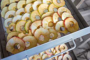 Image showing Apples are placed in a dryer