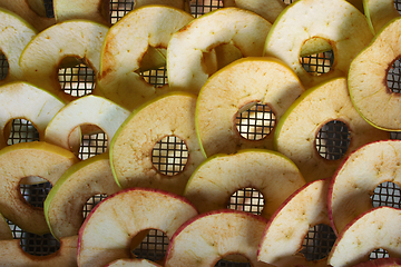 Image showing Apples are sliced and placedon grid of electric dryer