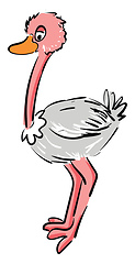 Image showing Cartoon pink and white ostrich vector illustration on white back