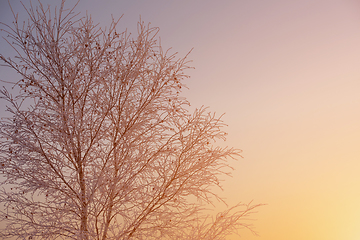 Image showing winter landscape during sunset