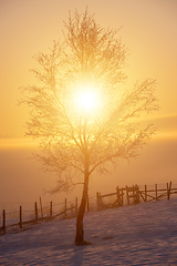 Image showing Beautiful winter landscape