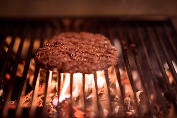 Image showing delicious grilled meat on barbecue