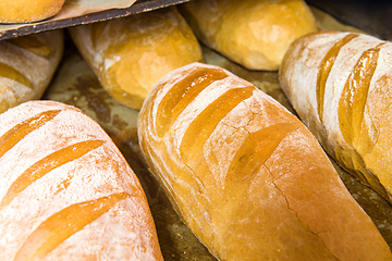 Image showing bread bakery food factory production with fresh products