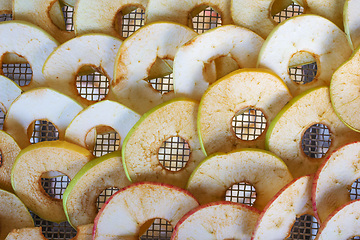 Image showing Apples on a lattice dryer