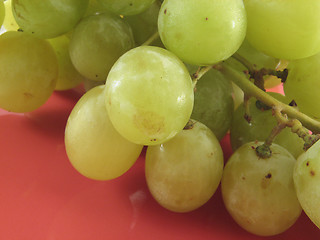 Image showing grape