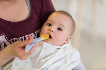 Image showing mother with spoon feeding little baby