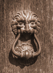 Image showing lion head knocker