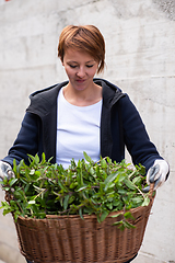 Image showing woman gardening