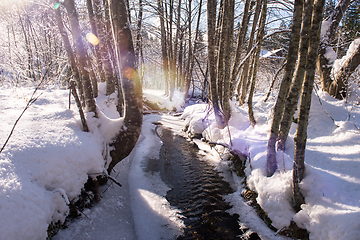 Image showing small river in the winter forest