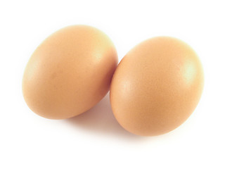 Image showing eggs