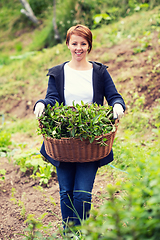 Image showing woman gardening