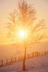 Image showing Beautiful winter landscape