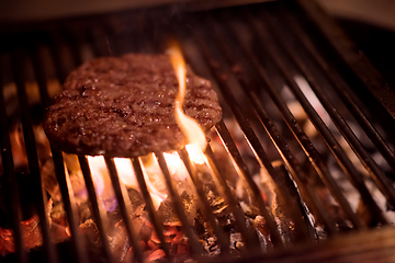 Image showing delicious grilled meat on barbecue