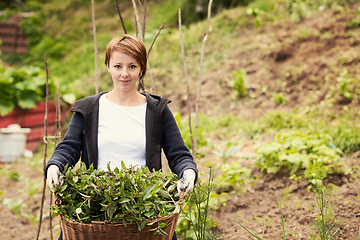 Image showing woman gardening