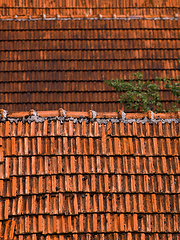 Image showing Old roof tiles