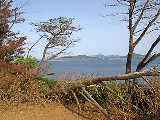 Image showing french Riviera coastline