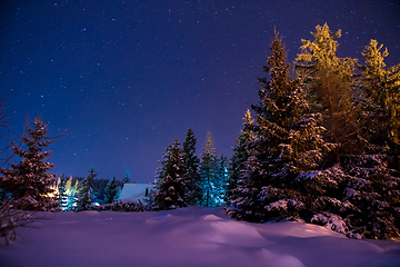 Image showing Beautiful winter night landscape