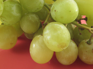 Image showing grape