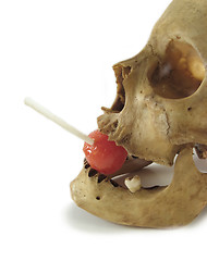 Image showing skull with lollipop