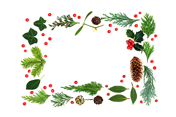 Image showing Traditional Natural Winter Flora Background Border