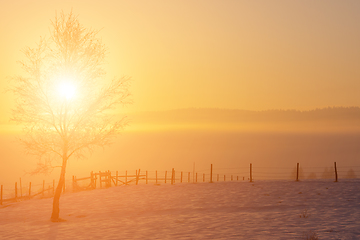 Image showing Beautiful winter landscape