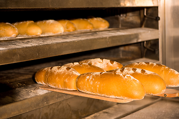 Image showing Baked bread in the bakery