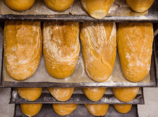 Image showing bread bakery food factory production with fresh products