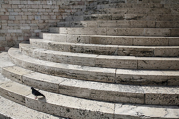 Image showing Nice marble steps with pigeon