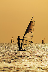 Image showing Silhouettes of a windsurfers on waves of a gulf 