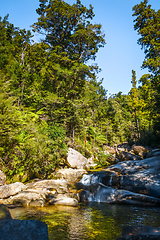 Image showing Cleopatra pools in Abel Tasman National Park, New Zealand