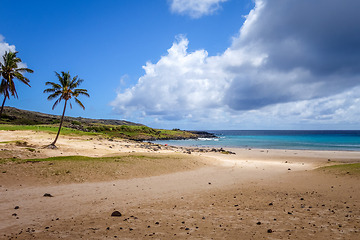 Image showing Palm trees on Anakena beach, easter island