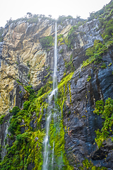 Image showing Waterfall in Milford Sound lake, New Zealand