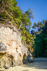 Image showing Creek in Abel Tasman National Park, New Zealand