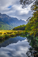 Image showing Lake in Fiordland national park, New Zealand