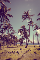 Image showing Palm trees on Anakena beach, easter island